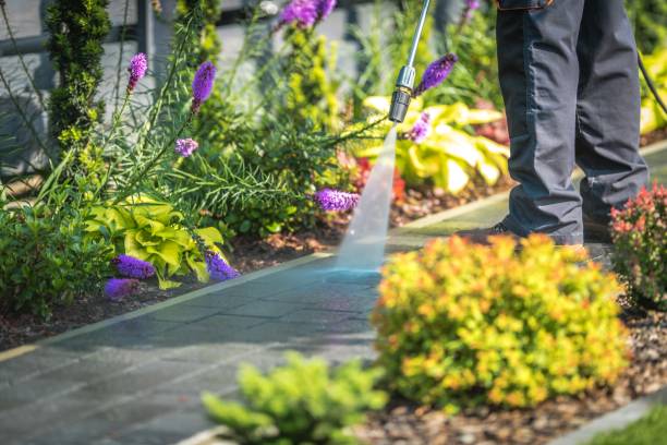 Best Fence Cleaning  in Keyport, NJ